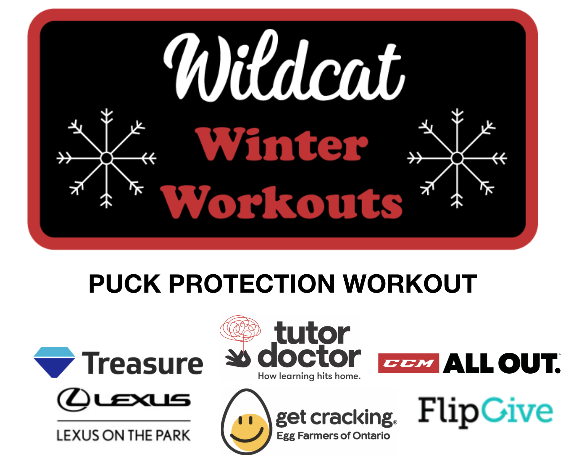 Featured image for “Puck Protection & Strength”